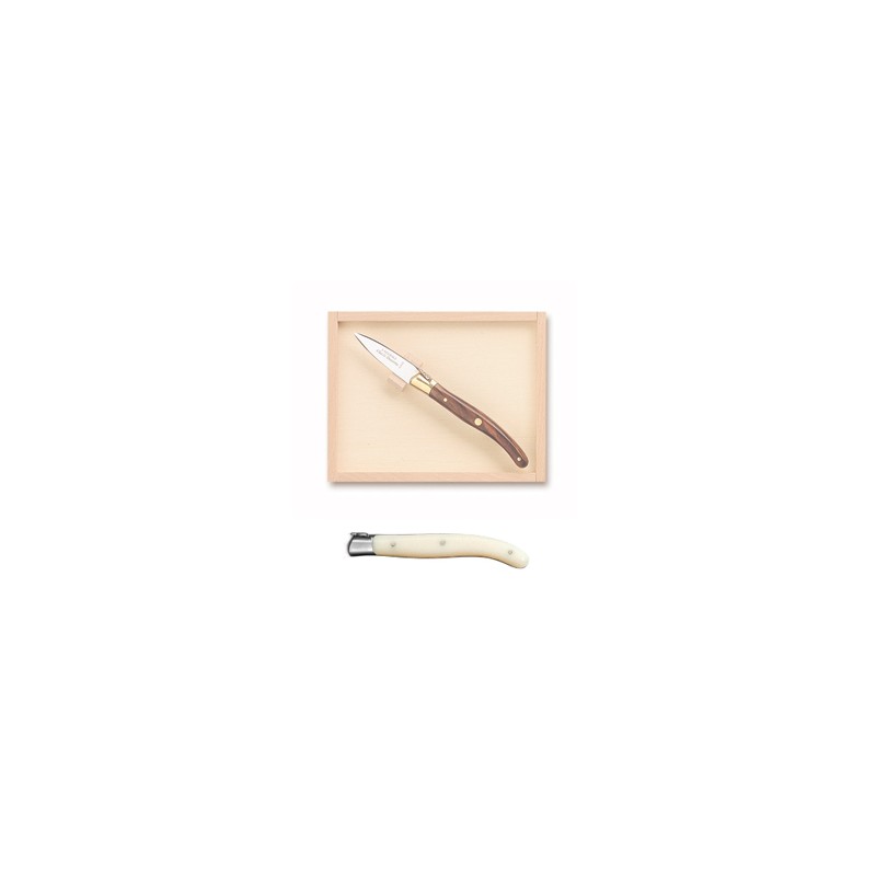 Wood box of Laguiole oyster knife stainless steel bolster ivory handle Wood box of Laguiole oyster knife stainless steel bolster ivory handle