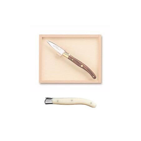 Wood box of Laguiole oyster knife stainless steel bolster ivory handle