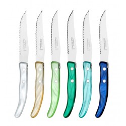 https://www.lagrandecoutellerie.fr/1736-home_default/wood-box-of-6-berlingot-knives-mix-coloured-resin-handle.jpg
