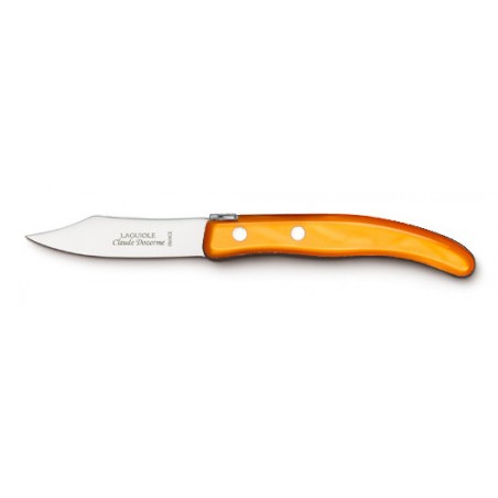Berlingot small vegetable knife in resin handle