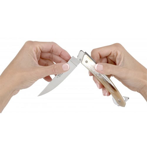 Thiers Verrou pocket knife inclusions by Claude Dozorme