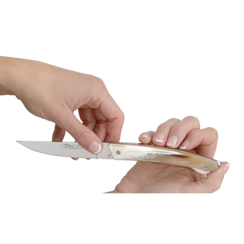 Couteau de poche le Thiers Verrou inclusions par Claude Dozorme