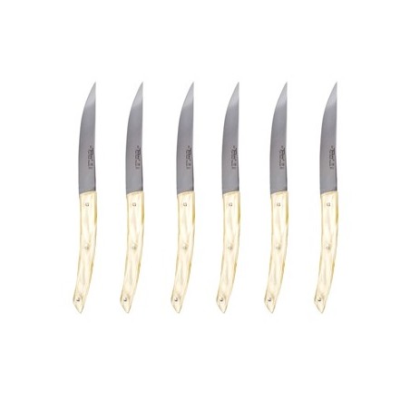 Wood box of 6 Thiers knives resin handle