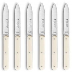 Box of 6 steak knives Navette 6.16 resin handle