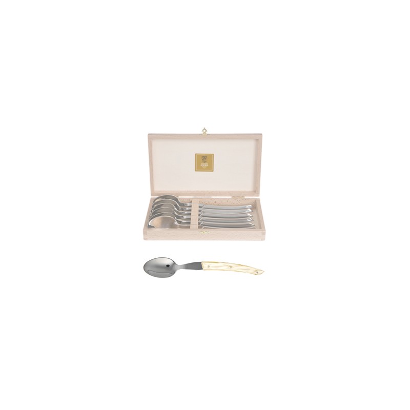 Wood box of 6 soup spoons Le Thiers® resin handle