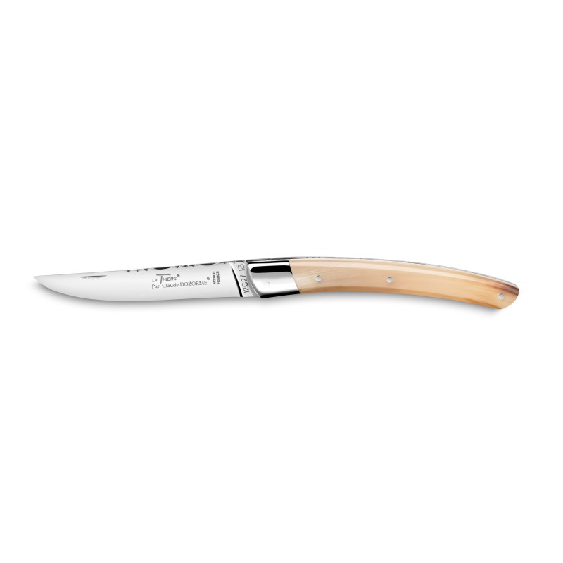Thiers pocket knife secret elected knife of the year 2015 by Claude Dozorme Thiers pocket knife secret elected knife of the year 2015 by Claude Dozorme
