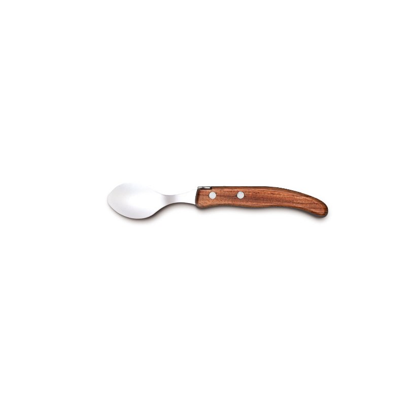 Berlingot coffee spoon in wood handle