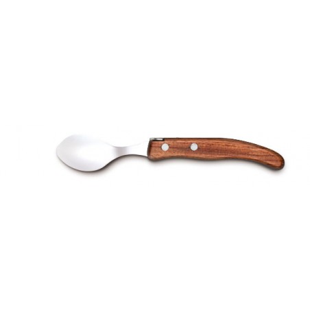 Berlingot coffee spoon in wood handle